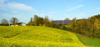 64 rapsfeld in hoermannsberg - hh